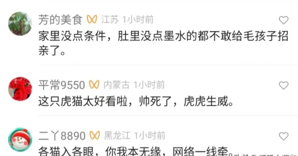 2345截图20240501171140.png