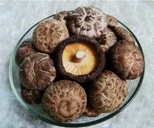 随州香菇批发代办
